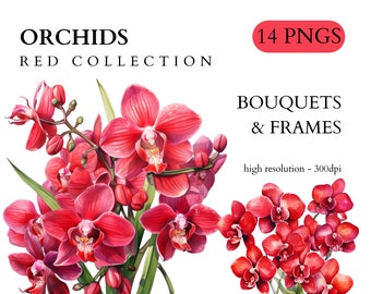 Watercolor Red Orchid Clipart - Spring Floral Clip Art PNG Format Instant Download Commercial Use Wedding Invitations