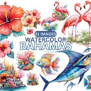Aquarela Bahamas Clipart - surf ilha tropical aquarela clip art PNG download instantâneo comercial hibisco, flamingos, peixe, mar