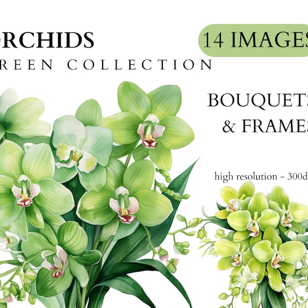 Clipart dell'orchidea verde dell'acquerello - Spring Floral download immediato formato PNG uso commerciale, matrimonio, inviti, scrapbooking