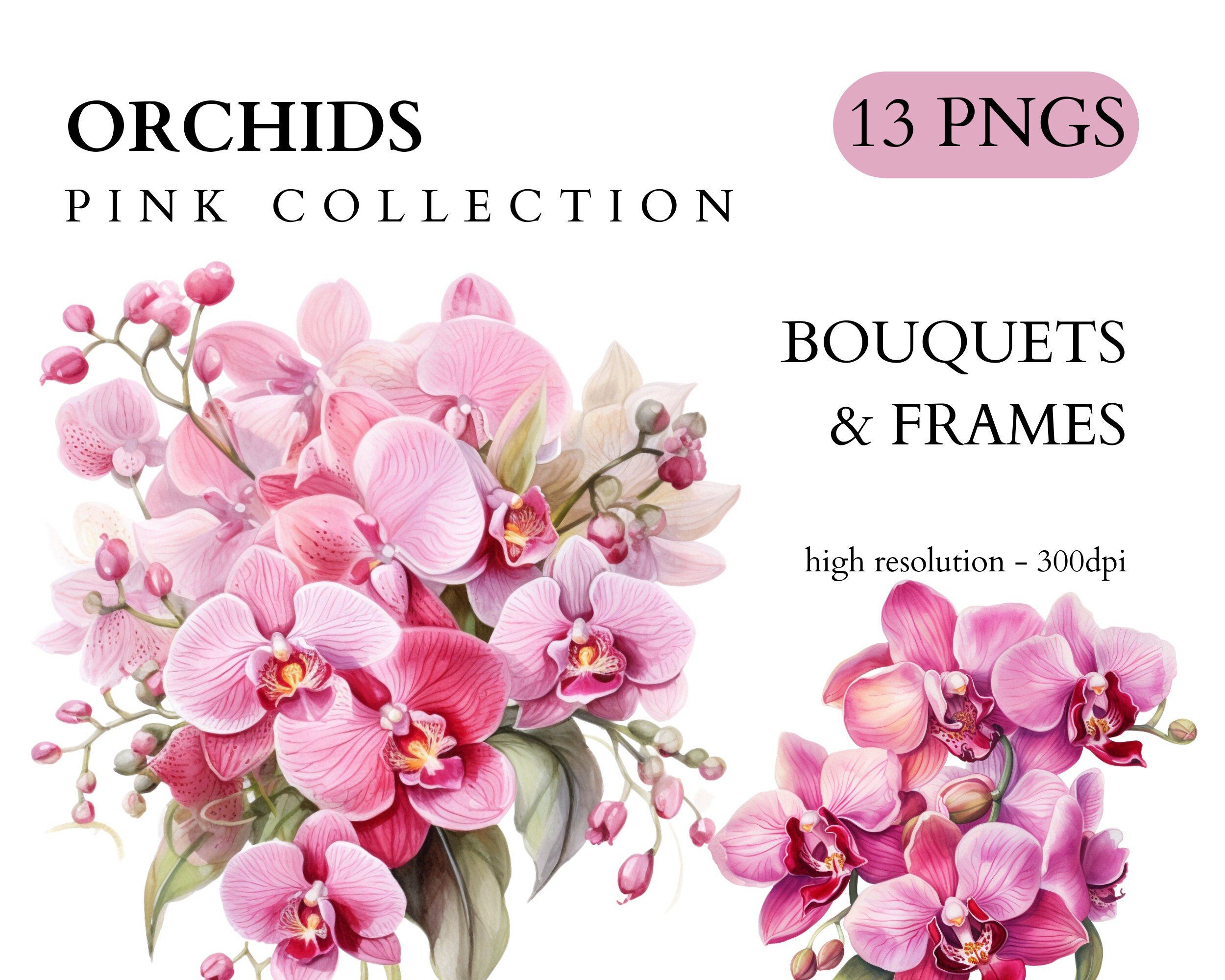 Watercolor Pink Orchid Clipart - Spring Floral Clip Art, PNG Format, Instant Download, Commercial Use, Invitations, Scrapbooking, Journaling