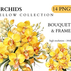 Aquarel Gele Orchidee Clipart - Spring Floral Instant Download PNG Formaat Commercieel Gebruik, Bruiloft, Uitnodigingen, Scrapbooking