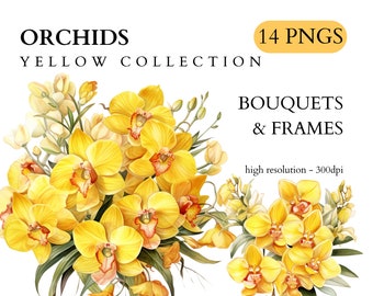 Watercolor Yellow Orchid Clipart - Spring Floral Instant Download PNG Format Commercial Use, Wedding, Invitations, Scrapbooking
