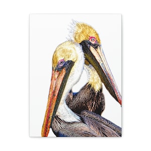 Pelican Canvas Print, Beach Home Decor, Wall Art, Bird Photography, Gifts, Zen Den, Beach Bar Decoration, Tropical Artwork, House Picture