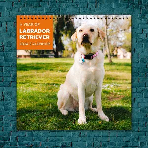 Labrador Calendar 2024 Etsy