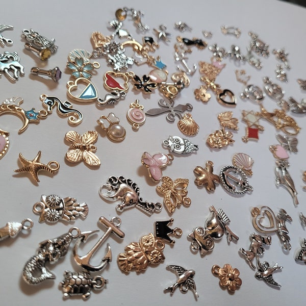 Charm Casting Mystery Bags, 24 Randomly Selected Charms. Divination.