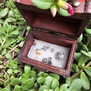 Liten skattkista med undervattenstema i botten