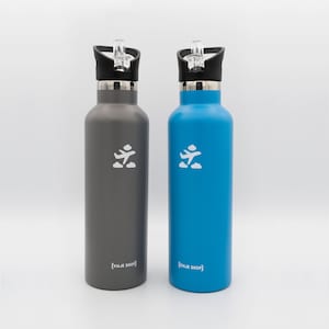 Stainless Steel Flask Water Bottle Thermos Straw Lid Drinking 25oz 730ml