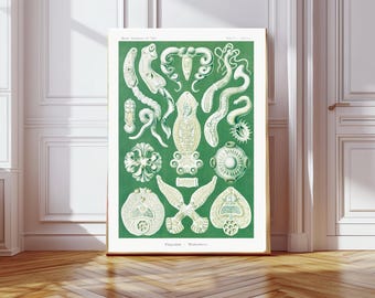 Ernst Haeckel Inspired Print, Ernst Haeckel Poster, Printable Wall Art, Floral Illustrations, Marine Life Prints, Fish Poster, Botanicals