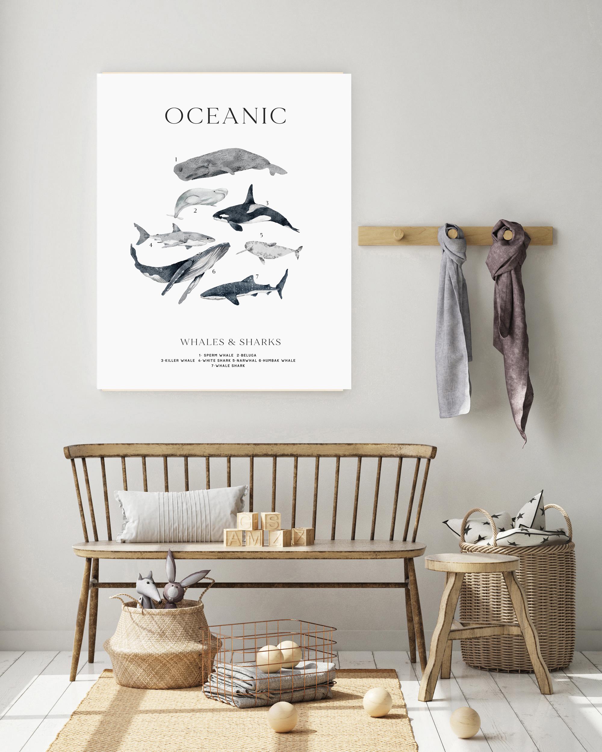 自然史展ポスター、海洋動物プリント、教育用プリント、サメの種類