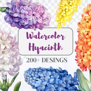 May include: Watercolor hyacinth flowers in shades of purple, white, blue, orange, and yellow. The text "Watercolor Hyacinth 200+ DESINGS" is displayed on a white background.
