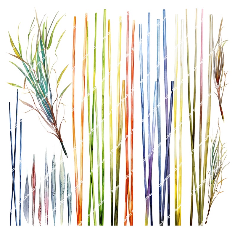Reeds and Grass Watercolor PNG Clipart Bundle Featuring Blades of Grass ...
