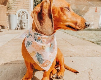 Dog Bandana | Safari Print | Dog Accessories | Dog Neckerchief | Dog Clothes