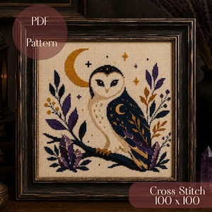 May include: A cross stitch pattern featuring a barn owl perched on a branch with purple leaves, gold stars, and a crescent moon. The design includes crystal clusters and the text PDF Pattern and Cross Stitch 100 x 100 in a dark wooden frame.