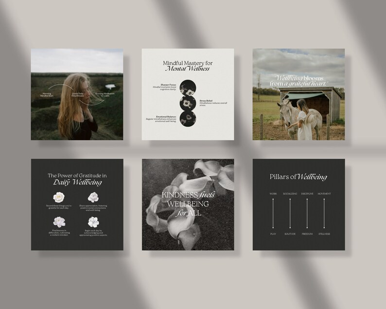 May include: Six black and white Instagram post templates with text about mental wellness, gratitude, kindness, and the pillars of wellbeing. The images include a woman in a field, a donkey, flowers, and a graphic with lines.
