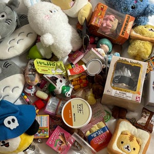 Random mystery trinket (blind bag) , accessories, cute, kawaii, aesthetic, melon pan, Japanese snacks, strawberry, bread, pouches, plushies