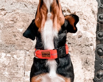 Hundehalsband gepolstert | KOCH