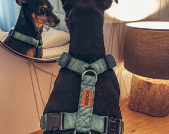 Padded Dog Harness | A COOK