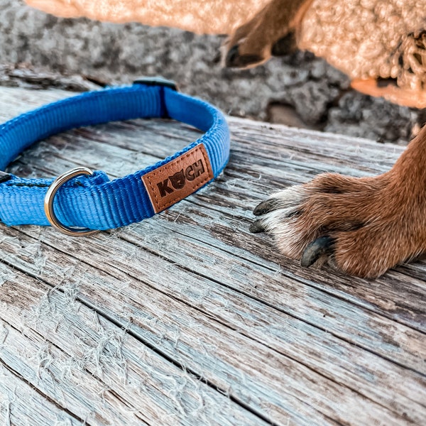 Padded dog collar | A COOK