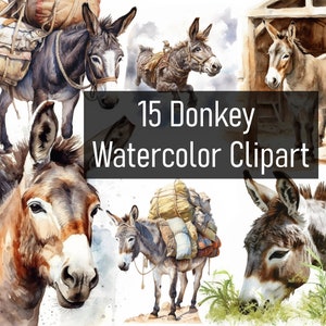 15 ilustrações de burro em aquarela clipart - download digital - para impressão - álbum de recortes - pôster - fofo adorável - uso comercial