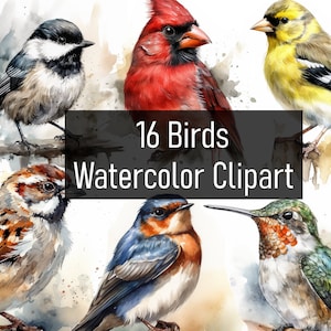 16 Kleurrijke Aquarel Vogels Illustraties Cliparts - Digitale Download - Afdrukbaar - Plakboek - Poster - Schattig & Schattig - Commercieel gebruik