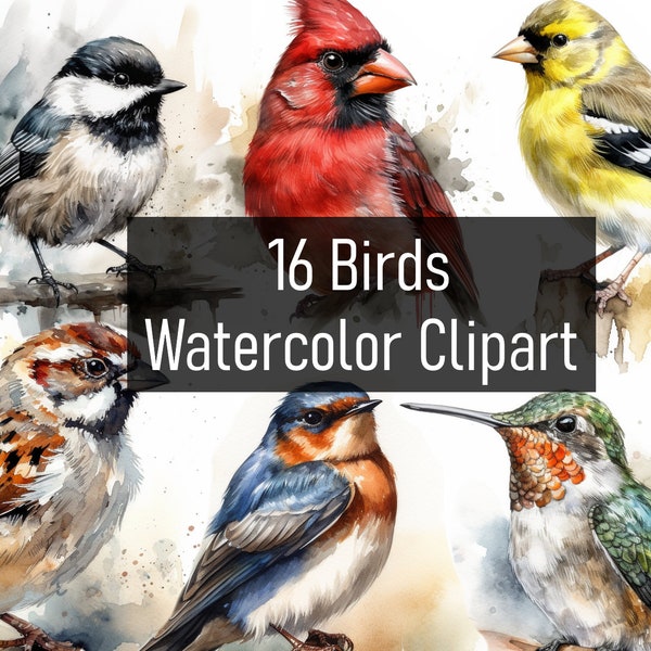 16 Colorful Watercolor Birds Illustrations Cliparts - Digital Download - Printable - Scrapbook - Poster - Cute & Adorable - Commercial Use