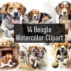 May include: Watercolour clipart featuring 14 images of Beagle dogs in various poses. The dogs are depicted in a realistic style with detailed fur and expressive faces. Some dogs are playing with a ball, while others are relaxing or running. The images are perfect for use in digital scrapbooking, card making, or other creative projects.