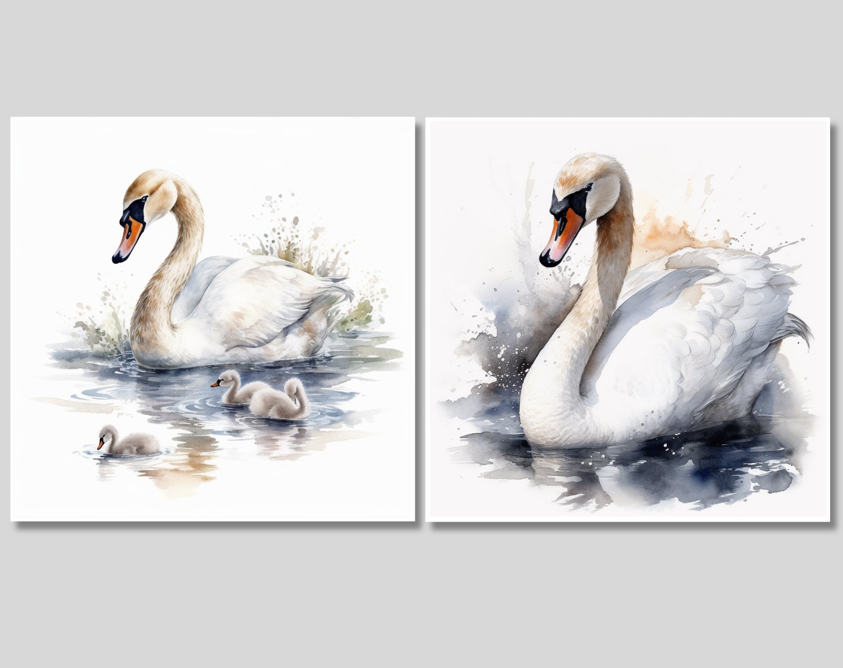 15 Watercolor Swan Illustration - Clipart - Digital Download ...