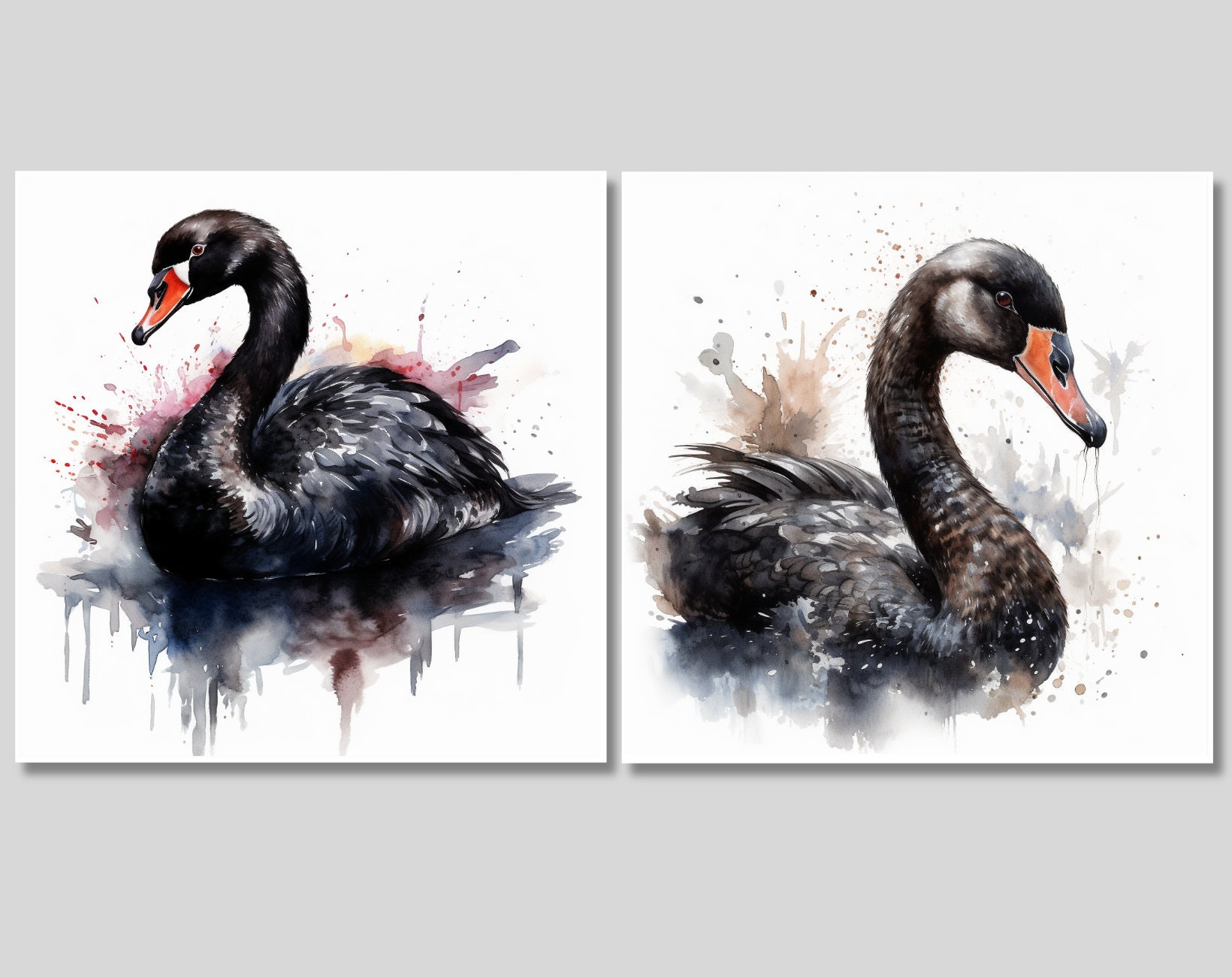 15 Watercolor Swan Illustration - Clipart - Digital Download ...
