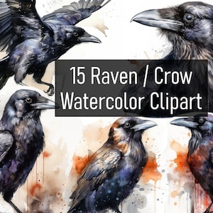 15 Raven / Crow Illustrations Cliparts - Digital Download - Printable - Scrapbook - Poster - Cute & Adorable - Commercial Use - Birds