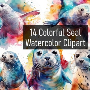 14 Watercolor Colorful Seal Illustrations Cliparts - Digital Download - Printable - Scrapbook - Poster - Cute & Adorable - Commercial Use