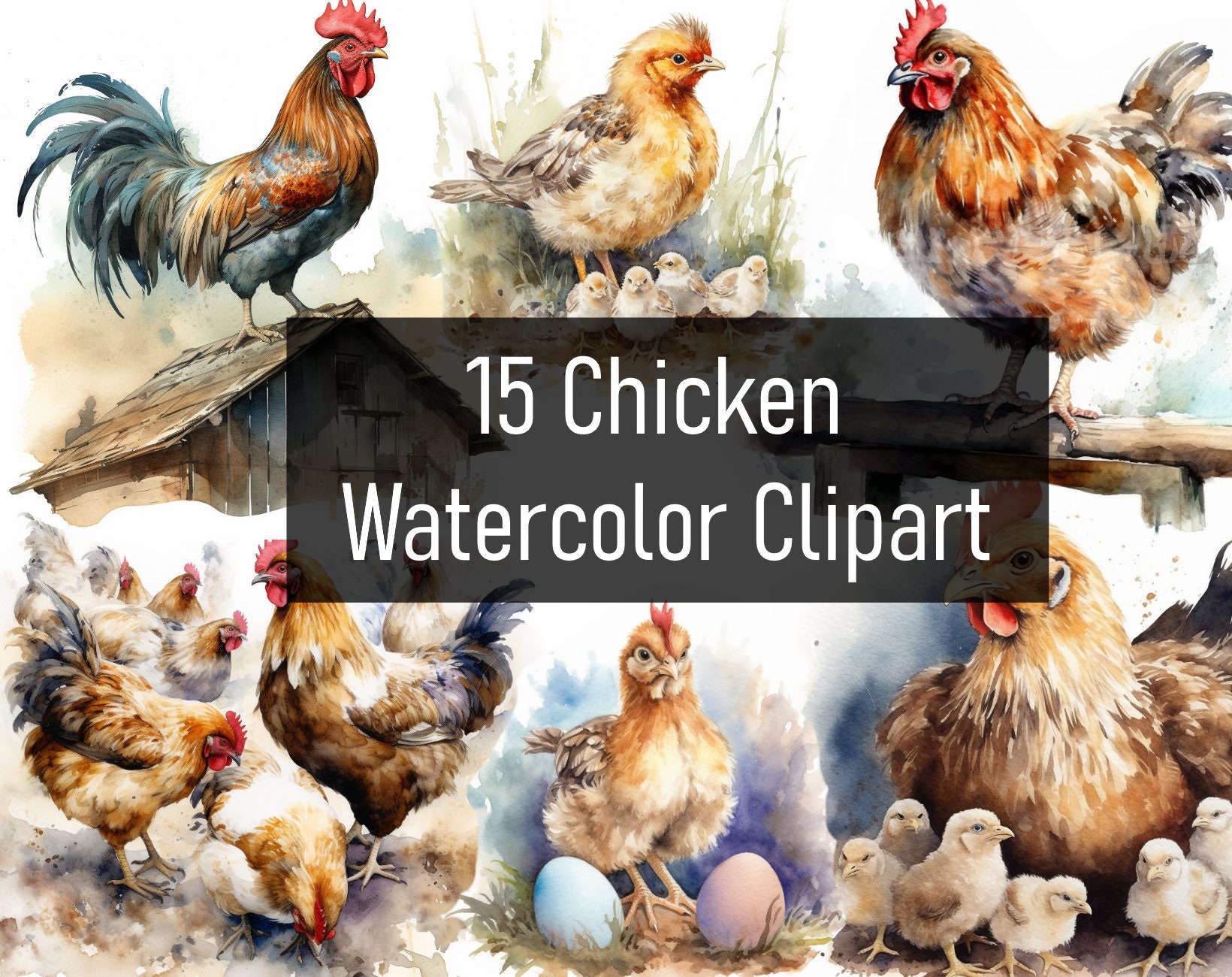 Watercolor Clipart Hand Drawn Chicken Family Rooster, Hen, Chicks and Eggs  Printable Instant Download 