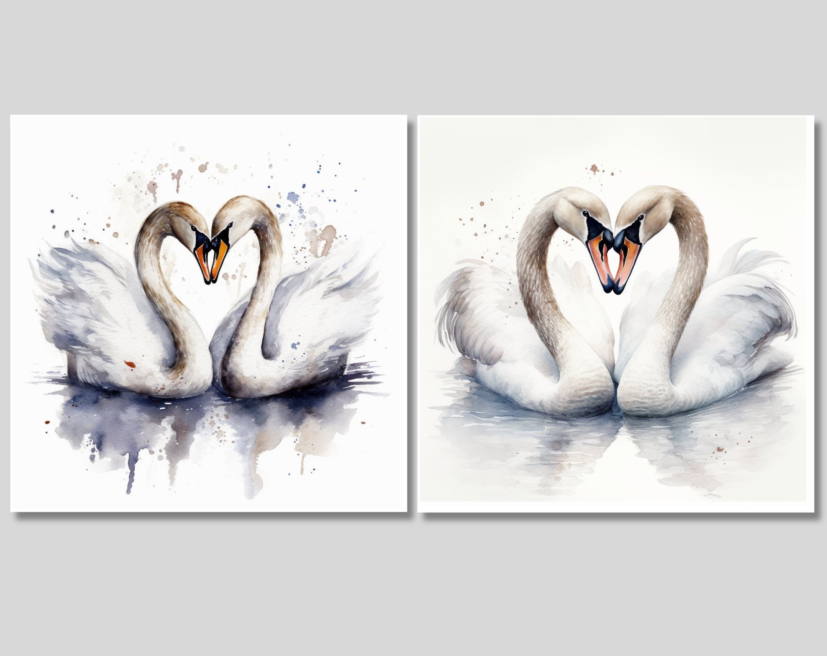 15 Watercolor Swan Illustration - Clipart - Digital Download ...