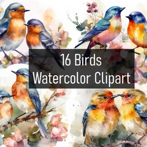 16 Colorful Watercolor Birds Illustrations Cliparts - Digital Download - Printable - Scrapbook - Poster - Cute & Adorable - Commercial Use