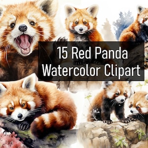 15 Aquarelle Red Panda Illustration Cliparts - Téléchargement numérique - Imprimable - Scrapbook - Autocollant - Utilisation commerciale - petit panda