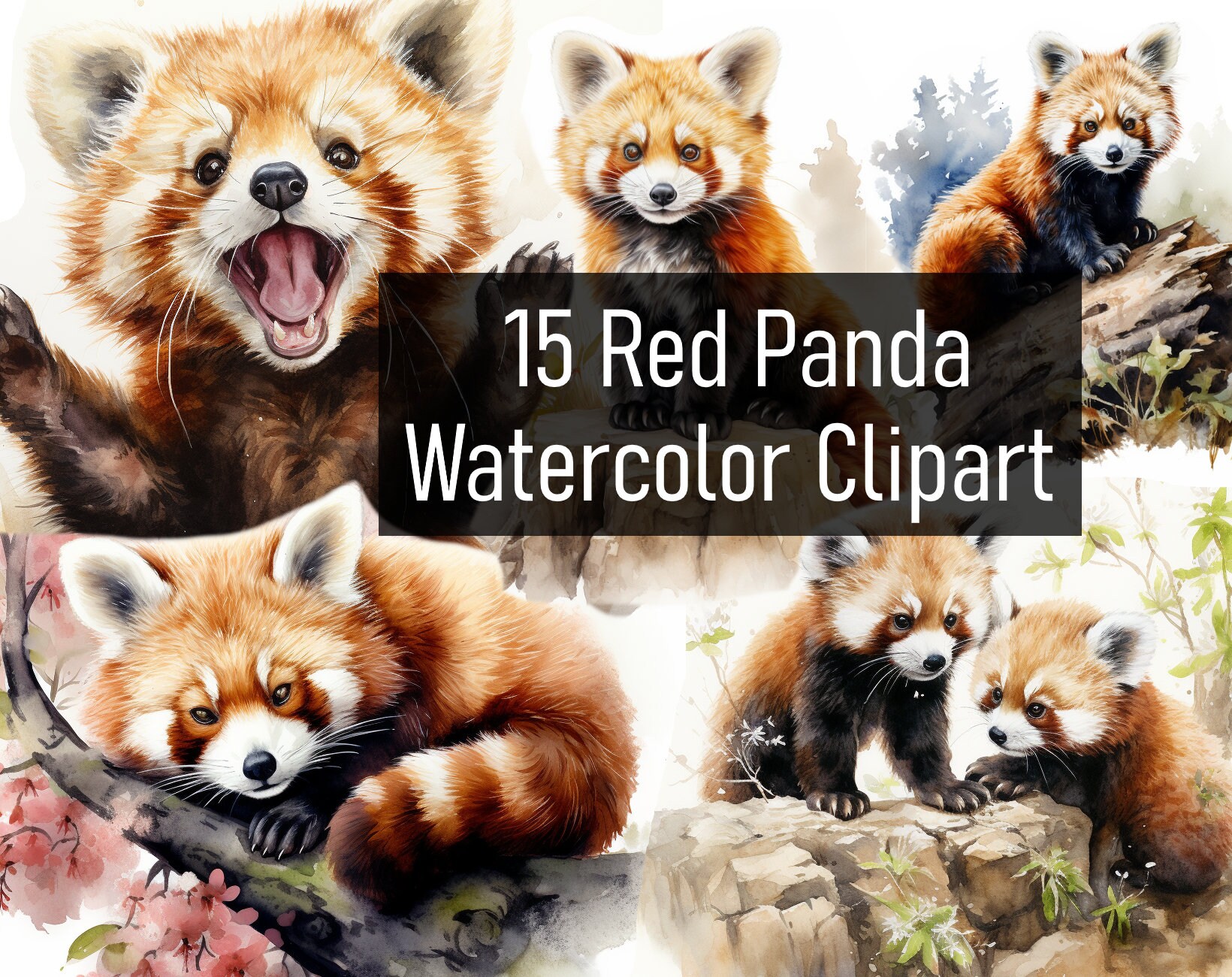 15 Watercolor Red Panda Illustration Cliparts - Digital Download - Printable - Scrapbook - Sticker - Commercial Use - lesser panda