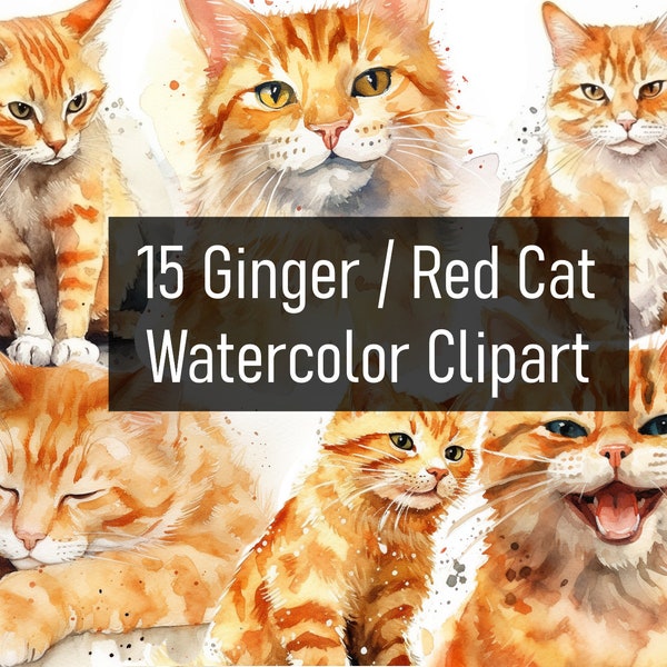 15 Watercolor Ginger / Orange / Red Cat Illustrations Cliparts - Digital Download - Printable - Scrapbook - Poster - Commercial Use