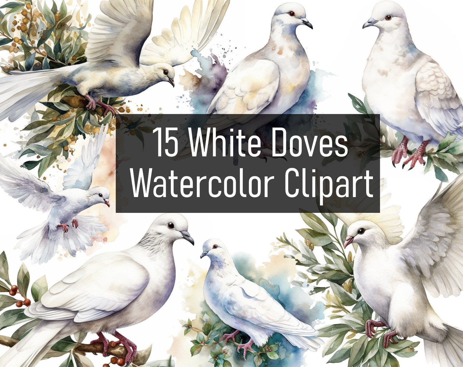 15 Watercolor White Doves Illustrations Cliparts Digital Download ...