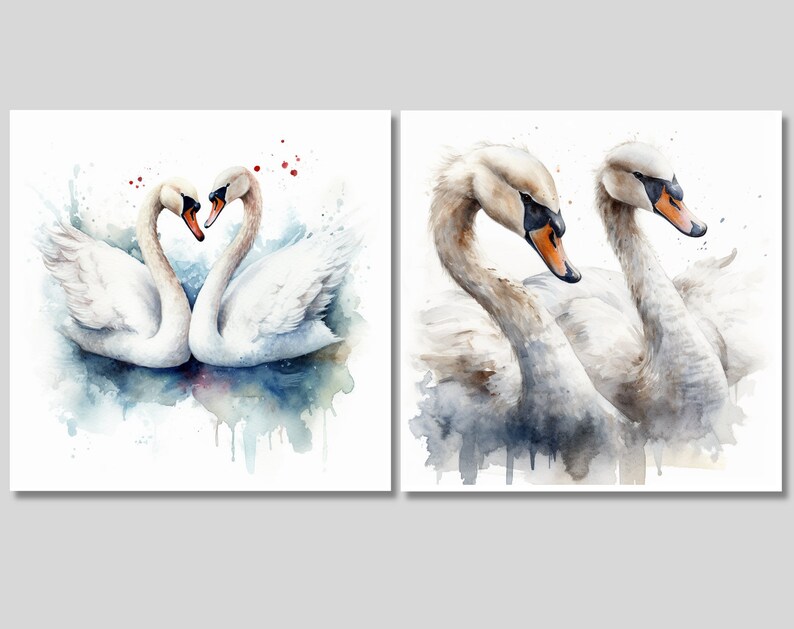 15 Watercolor Swan Illustration - Clipart - Digital Download ...