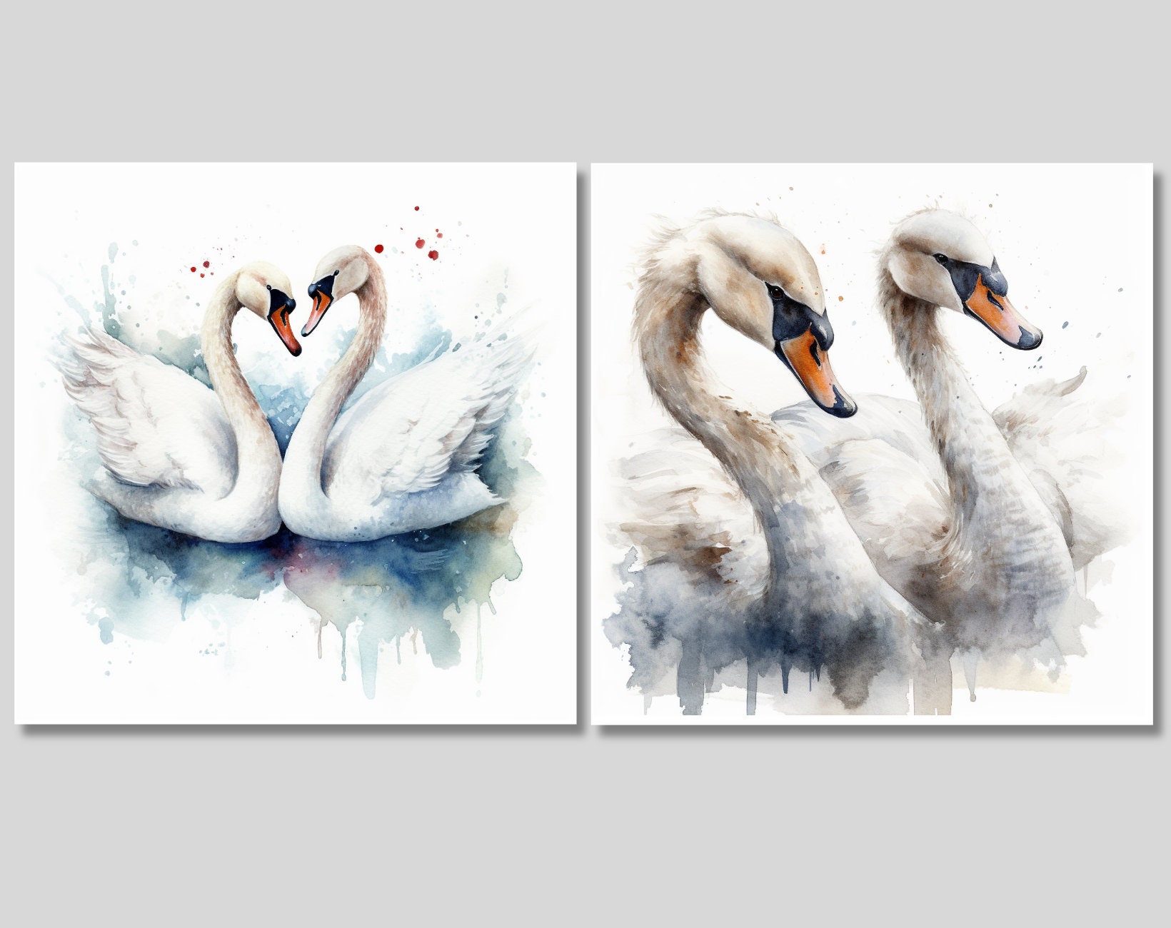 15 Watercolor Swan Illustration - Clipart - Digital Download ...