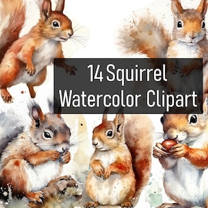 14 Watercolor Squirrel Illustrations Cliparts - Digital Download - Printable - Scrapbook - Poster - Cute & Adorable - Commercial Use