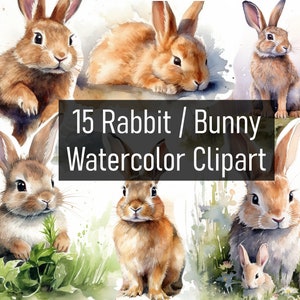 15 Aquarell Kaninchen Illustrationen Clipart - Digital Download - Printable - Scrapbook - Poster - Cute Adorable - Kommerzielle Nutzung