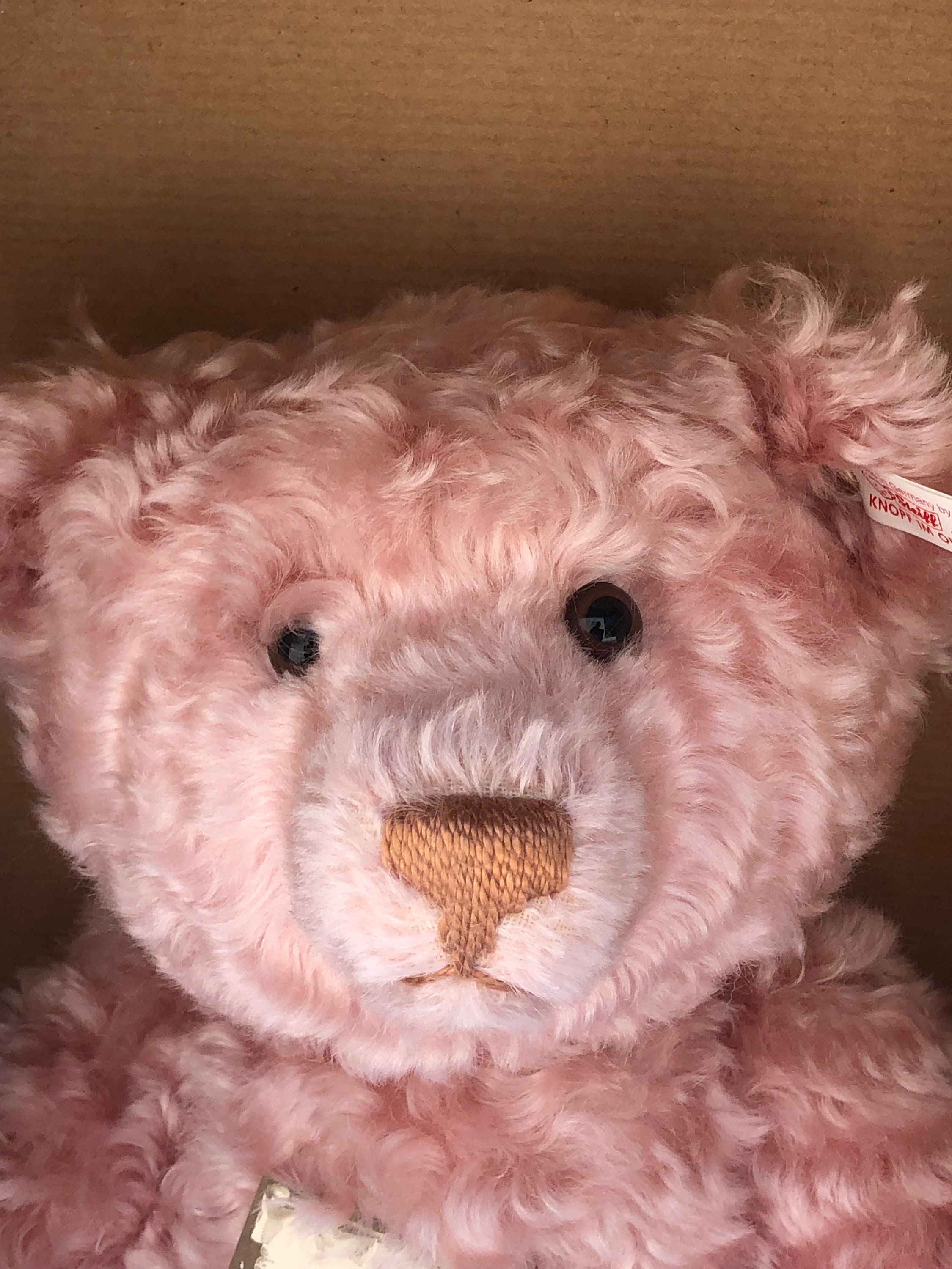 Steiff British Collectors Pink Rose Teddy Bear 1997 Limited