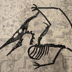Fossil Replica Pteranodon Skeleton Decoration