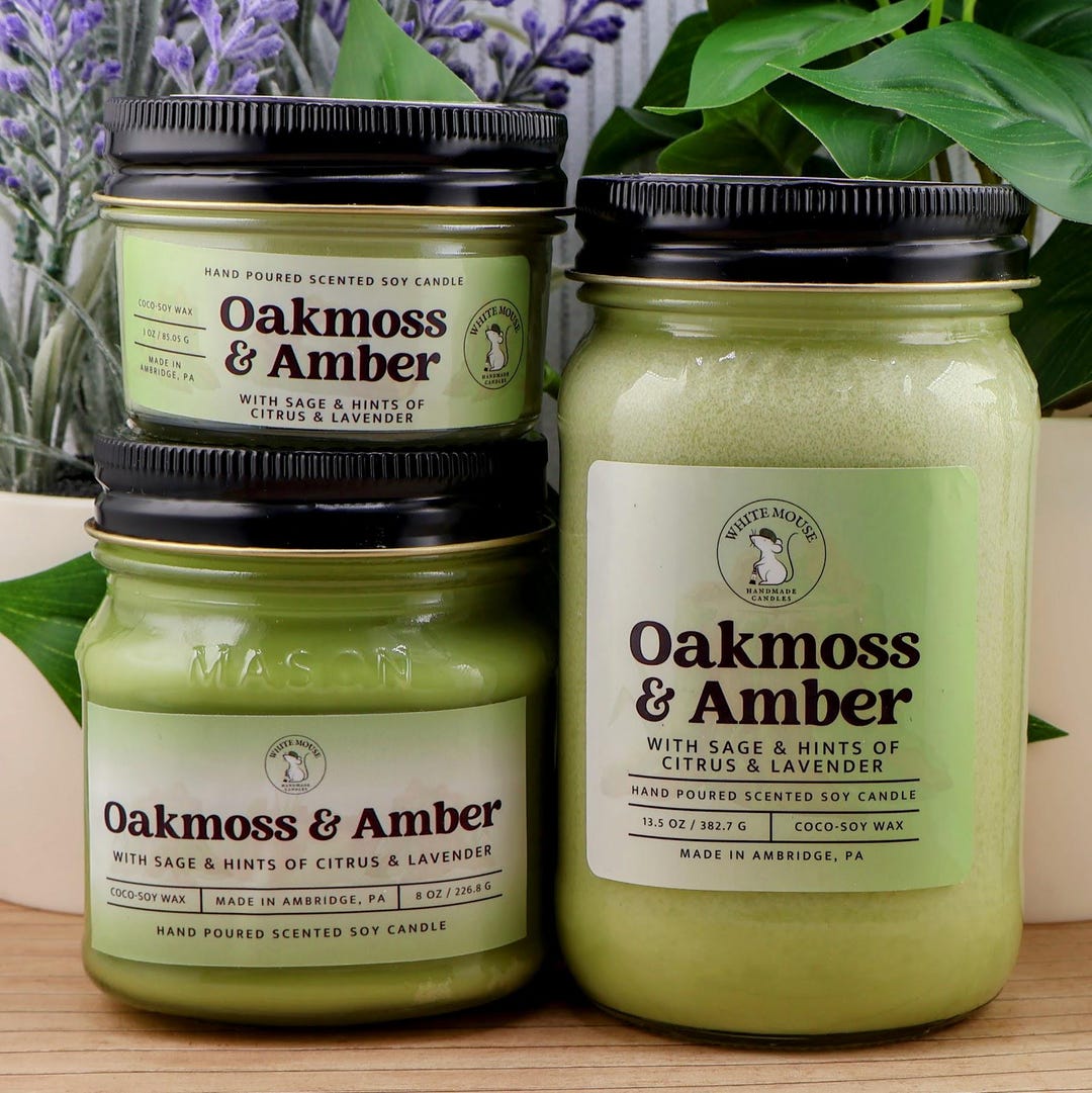 Oakmoss and Amber Soy Coconut Wax Candle - Etsy
