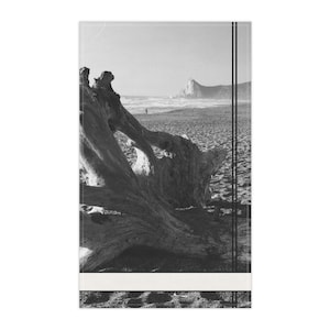Agate Beach Patrick&#39;s Point Stump Black and White Photo on Kitchen Towel California State Parks Decor High Quality Print