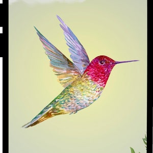 Hummingbird Wallpaper | iPhone | Instant Download | Beautiful Spring Lock Screen