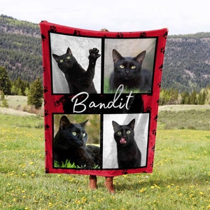 May include: A red fleece blanket with paw print designs and four photos of a black cat. The cat's name, "Bandit", is written in white cursive on a black background.