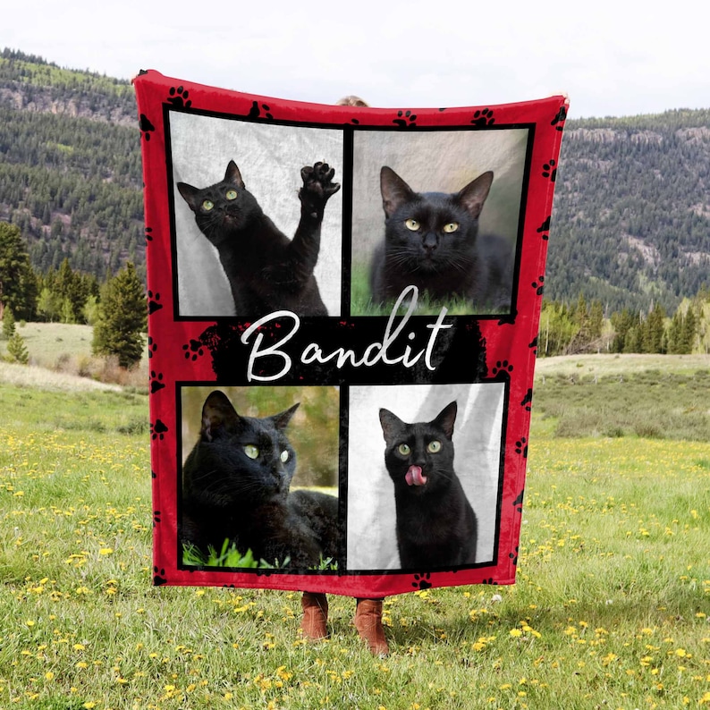 May include: A red fleece blanket with paw print designs and four photos of a black cat. The cat's name, "Bandit", is written in white cursive on a black background.