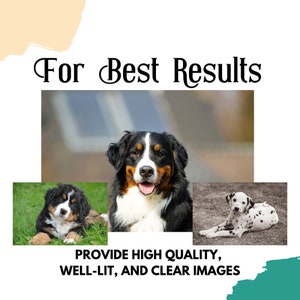 May include: Three dogs, a Bernese Mountain Dog, a Dalmatian, and a Bernese Mountain Dog puppy, are shown in separate images. The text "For Best Results" is at the top of the image. The text "Provide High Quality, Well-Lit, and Clear Images" is at the bottom of the image.