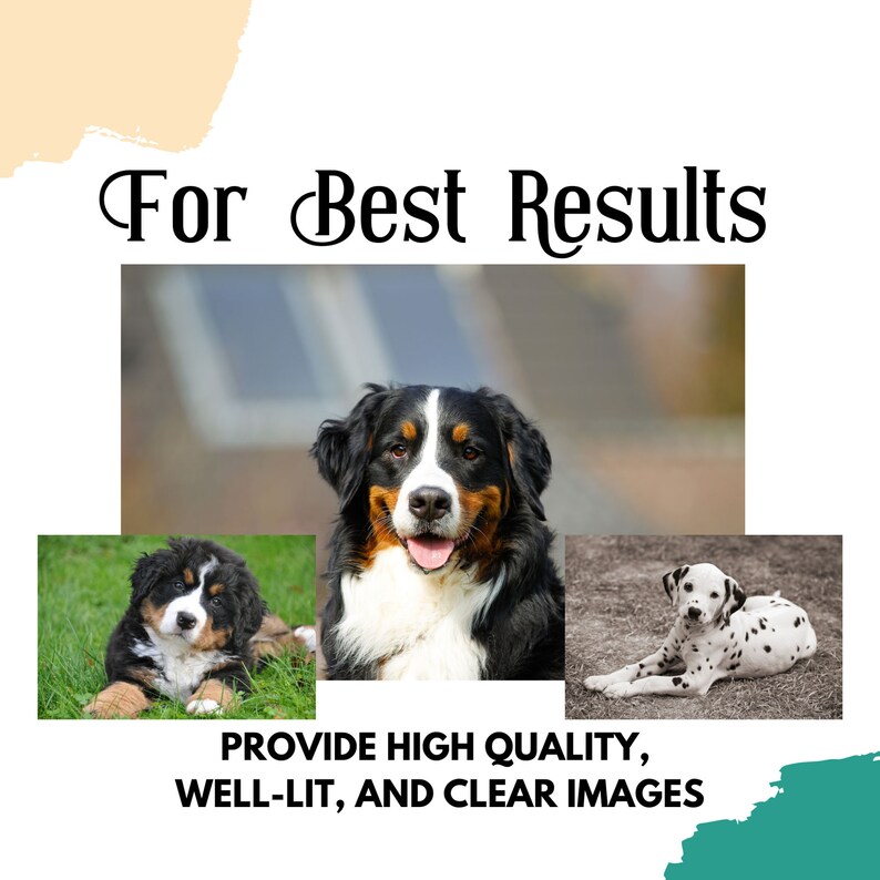 May include: Three dogs, a Bernese Mountain Dog, a Dalmatian, and a Bernese Mountain Dog puppy, are shown in separate images. The text "For Best Results" is at the top of the image. The text "Provide High Quality, Well-Lit, and Clear Images" is at the bottom of the image.